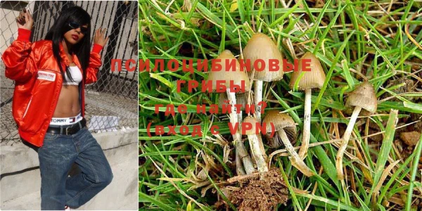 марки nbome Новосибирск
