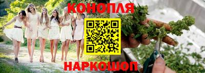 сатива Бузулук