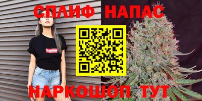 тгк Пенза