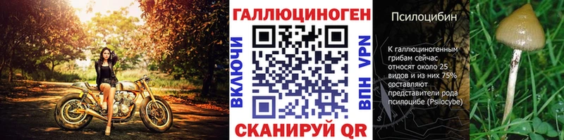 где продают наркотики  Санкт-Петербург  Псилоцибиновые грибы прущие грибы 