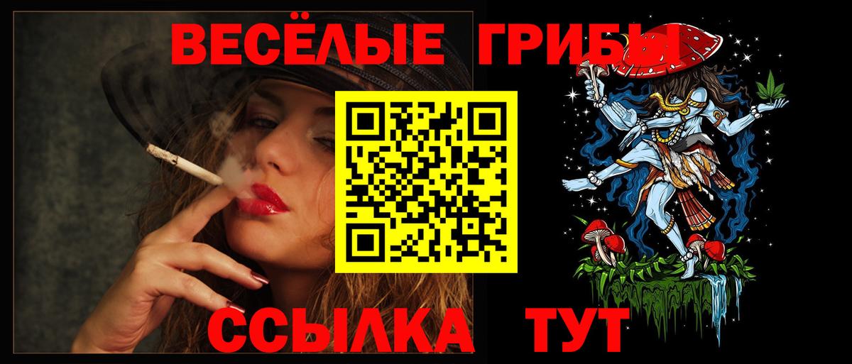 Галлюциногенные грибы MAGIC MUSHROOMS Россия