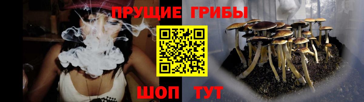 Галлюциногенные грибы ЛСД  Псилоцибиновые грибы Cubensis  Россия 