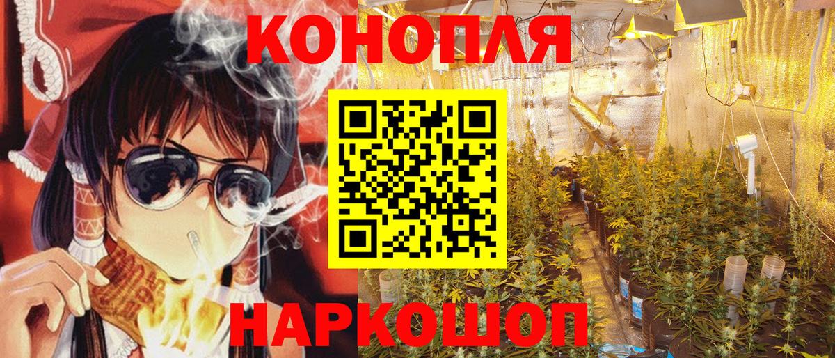 Канабис марихуана  Каннабис SATIVA & INDICA  Россия 